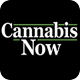 Cannabis Now logo