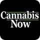 Cannabis Now favicon