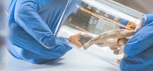 photo of London-Based Psychedelic Startup Incubator Raises $3.3M in Seed Funding image