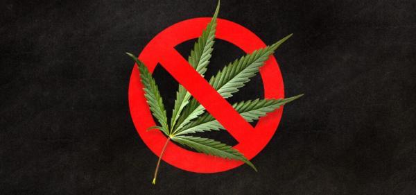 photo of Wyoming Draft Bill Seeks to Outlaw Hemp-Derived THC Products image