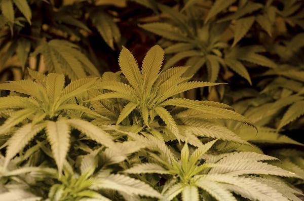 SCOOP: Muha Meds founders face investor&hellip;