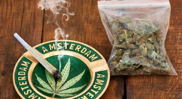 photo of Legal Weed Is Officially Coming to Coffee Shops in the Netherlands image