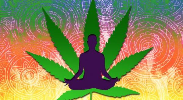 photo of All the Benefits of Weed, Vol. 2: Alzheimer's, Heart Health, and Fibromyalgia image