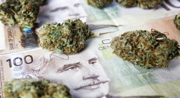 photo of Canadians Bought Over $900 Million of Weed in the First Year of Legal Sales image