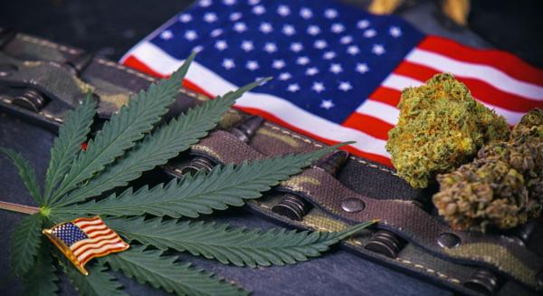photo of The VA May Finally Conduct a Study on Cannabis's Impact on Pain and PTSD image