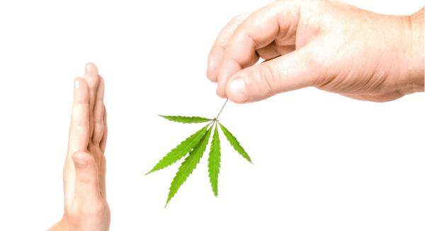 photo of Quitting Weed Can Lead to Temporary Withdrawal Symptoms, New Study Finds image