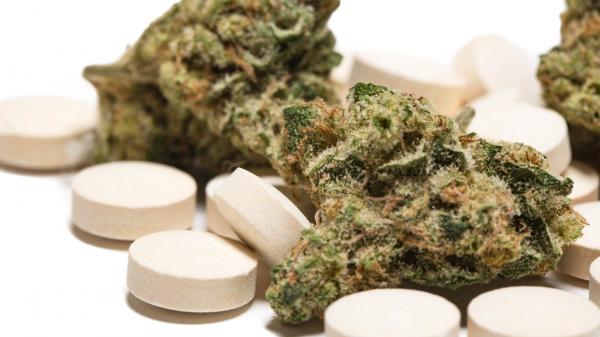 photo of Studies Show Why Patients are Favoring Cannabis Over Opioids image