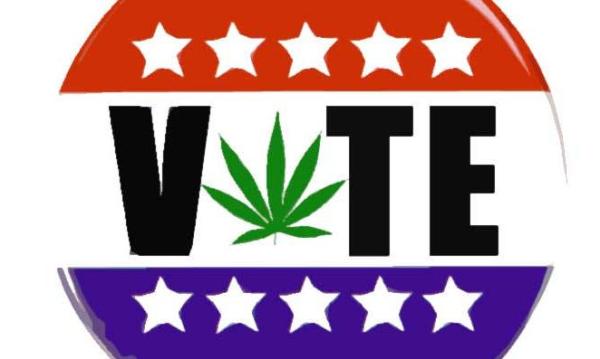 photo of Marijuana On The Ballot: Where Candidates For U.S. Senate And State Governor’s Races Stand On Legalization image