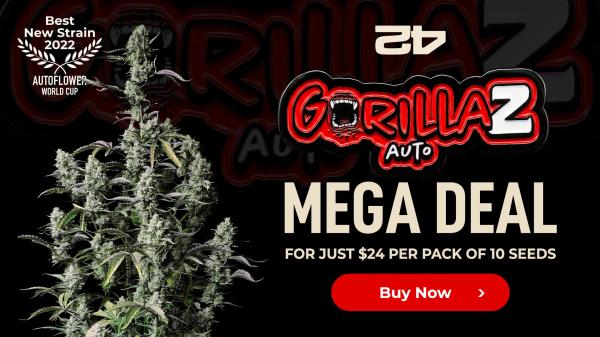 A once-in-a-lifetime 420 opportunity&hellip;