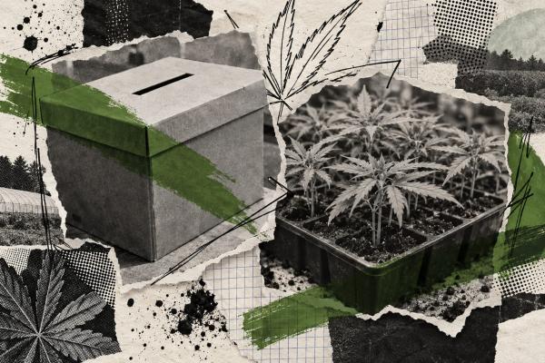 Vireo Growth files S-4 for Planet 13&hellip;