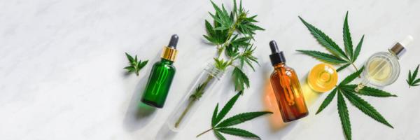 FDA asks veterinarians for input about CBD products for animals