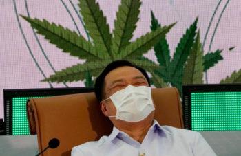 Thailand To Give Away One Million Free Cannabis Plants To Households, Minister Says