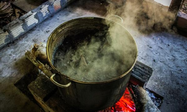 Federal Judge Calls Out DEA Over Delay…