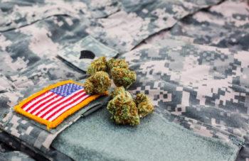 Vets And Medical Cannabis: It’s The…