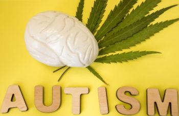photo of Marijuana Medicine for Autism image