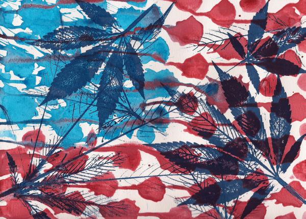 photo of Marijuana Support Grows: Two Out Of Three Americans Back Legalization, Gallup Says image