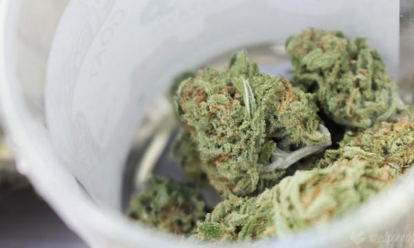 photo of Arizona Prepares To Accept Marijuana Applications Next Week As New Draft Legalization Rules Are Issued image