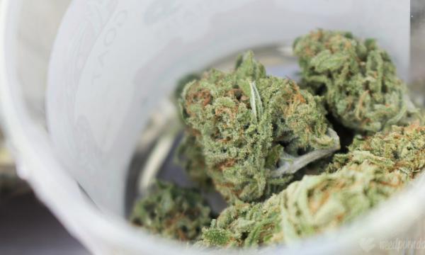 Kentucky Governor Says Medical Marijuana…