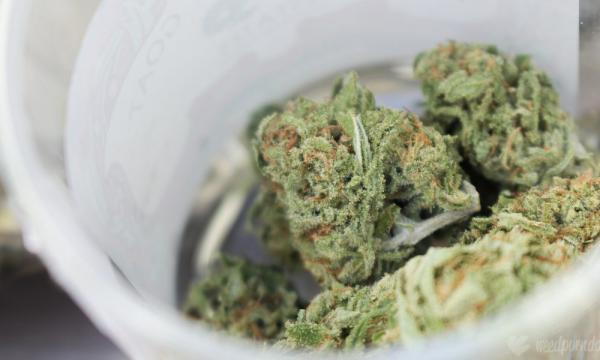 photo of Texas House To Vote On Marijuana Decriminalization Bill, As Committee Takes Up Broader Legalization Proposal image