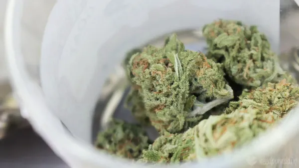 Legalizing Marijuana Reduces Personal&hellip;