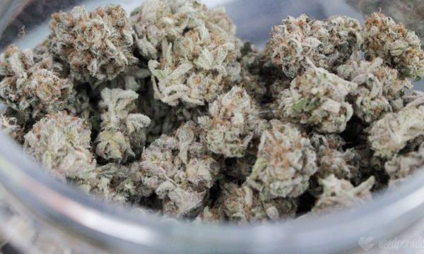 photo of Connecticut Marijuana Legalization Bill Clears Another Committee, Setting It Up For Floor Action Next Week image