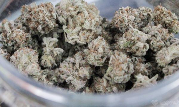 photo of Delaware Officials Are Now Accepting Applications For State’s First Recreational Marijuana Licenses, Weeks Ahead Of… image