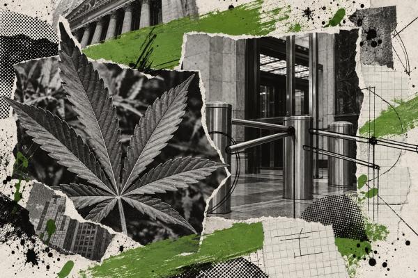 photo of Canopy Growth Corporation shareholders authorize up to 1-for-15 reverse split image