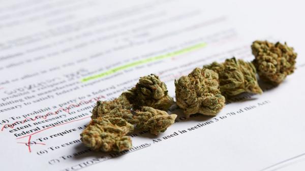 photo of Adult-Use Marijuana Legalization Bill Introduced in Pennsylvania House image