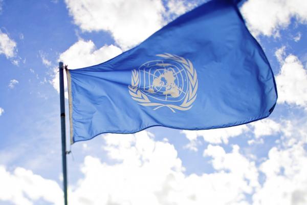 photo of World Health Organization Calls for Cannabis Reclassification. What Now? image