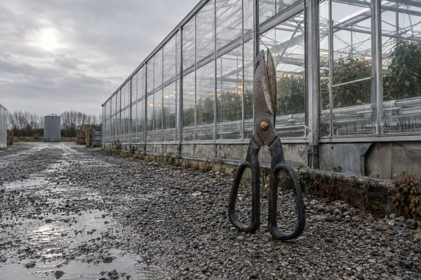 Cronos Group closes €57.5M CanAdelaar…