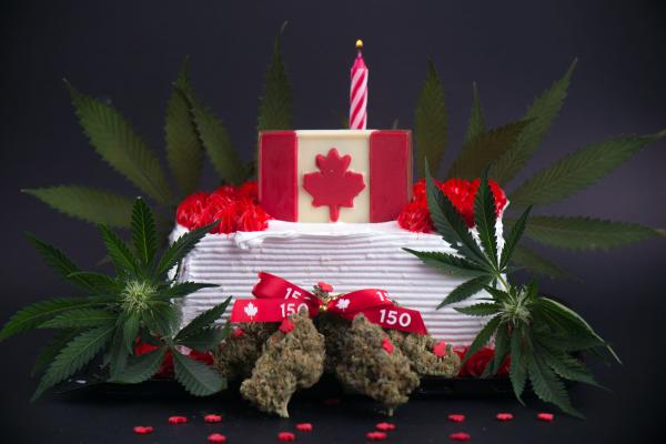 photo of Cannabis legalization year 3—welcome to the Hunger Games image