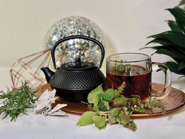 photo of Beyond the Bud: Growing Tannin- and Terpene-Rich Plants image
