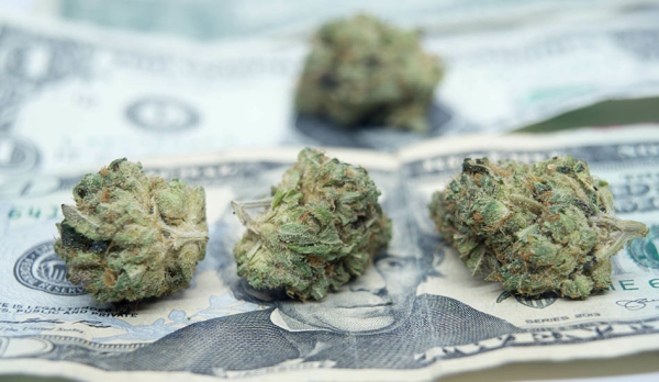 Falling Cannabis Prices Meant Less…