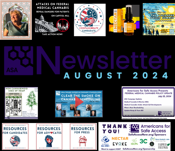 photo of ASA  Newsletter-August 2024 image