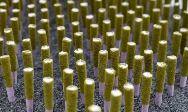 AV2’s L.A.L.A. Machine Brings…