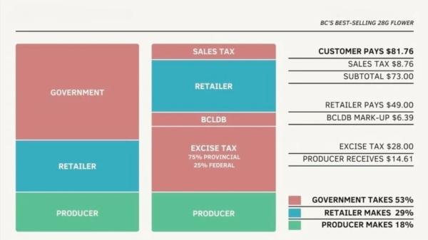 How much does a legal weed grower in…