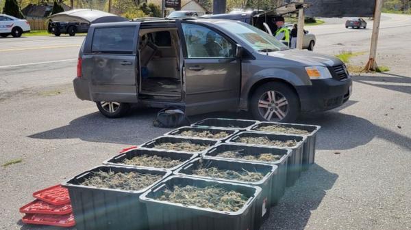 Road check in BC yields 33 kg cannabis…