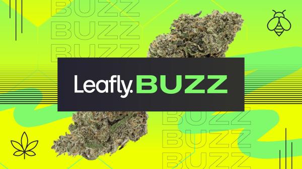 Leafly Buzz: 12 hot cannabis strains of…