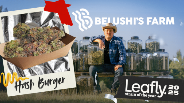 Belushi’s Farm and Blues Brothers are&hellip;