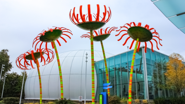 The best places to be high in Seattle:…