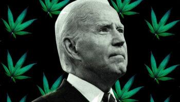 photo of Joe Biden Drops Out: What Would Happen With Cannabis Legalization Under Kamala Harris Or Donald Trump? image