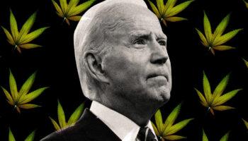 Biden Promised No Jail Time For Weed.…