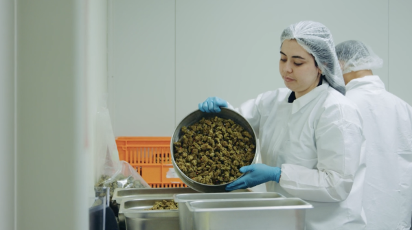 Bioxyne to manufacture Aurora Cannabis&hellip;