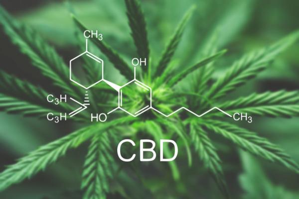 FDA clears DeFloria’s cannabis-based…