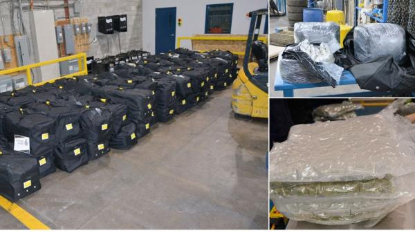 CBSA seize cannabis en route to Nigeria