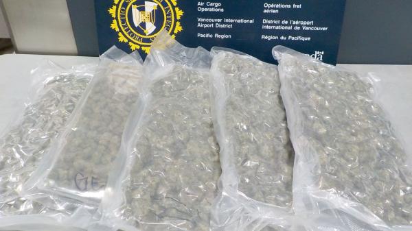 CBSA has seized thousands of kilograms…