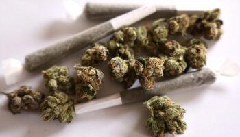 Cannabis May Soon Be Rescheduled As a…