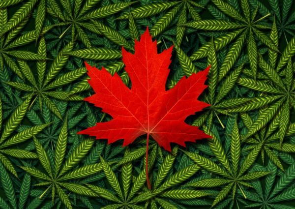 Canadian cannabis sales break…