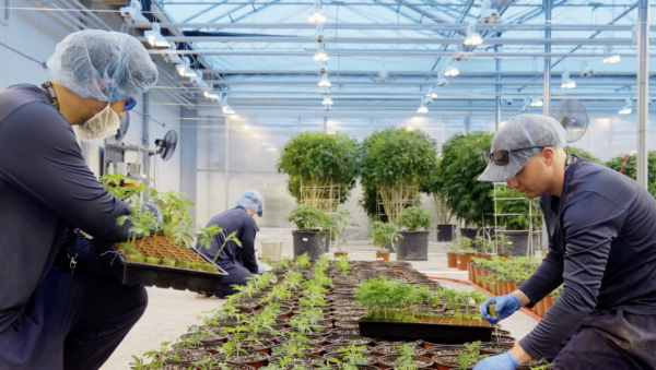 Canadian petition aims to make minimum&hellip;