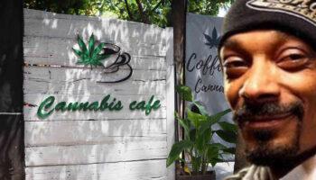 photo of California Passes Law Allowing Dutch-Style Cannabis Cafes image